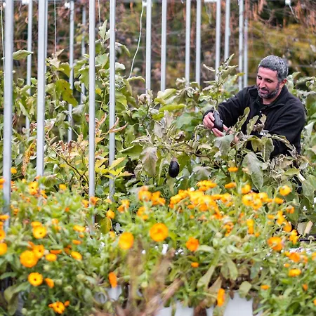 Mercure Chantilly & Conventions (adults Only) Hotel 4*