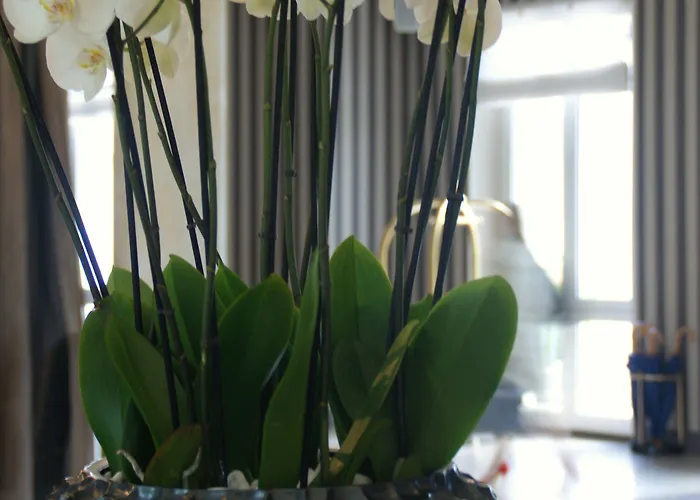 Mercure Chantilly & Conventions (adults Only)